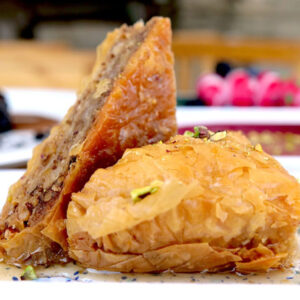 oasis-new-bar-photo-18